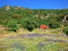 1 Bedroom Secluded Rural Studio in the Sierra de Montanchez, Extremadura, Spain